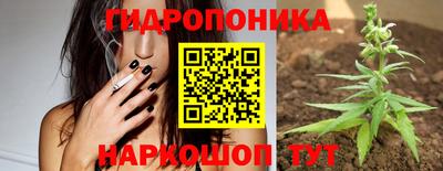 гашик Обь
