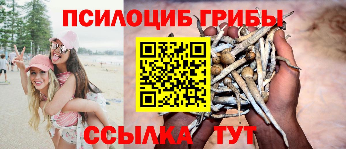 Славянск-на-Кубани  Галлюциногенные грибы мухоморы  Вход с VPN  Галлюциногенные грибы GOLDEN TEACHER 